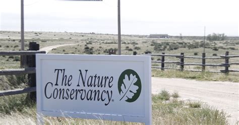 nature conservancy scandal
